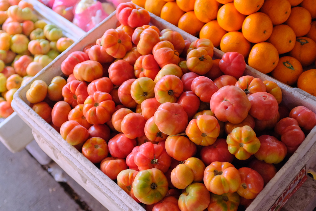 自然体のトマト