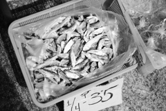 干し魚
