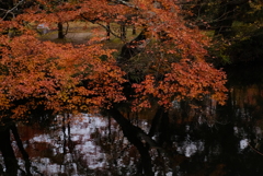 湯布院　金鱗湖 3