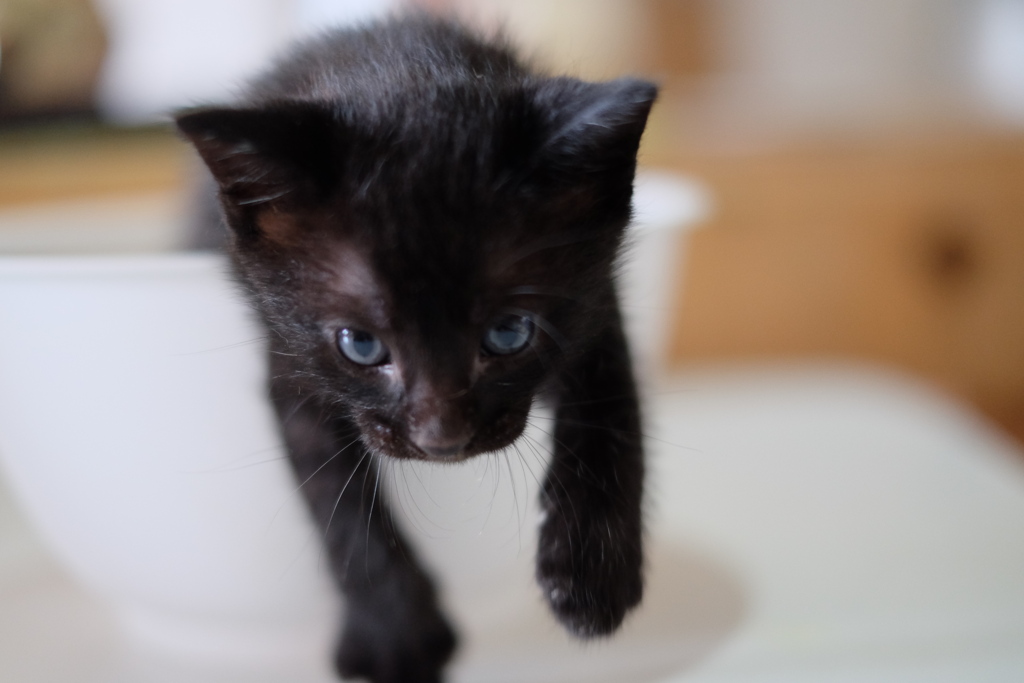 狭いところは嫌い