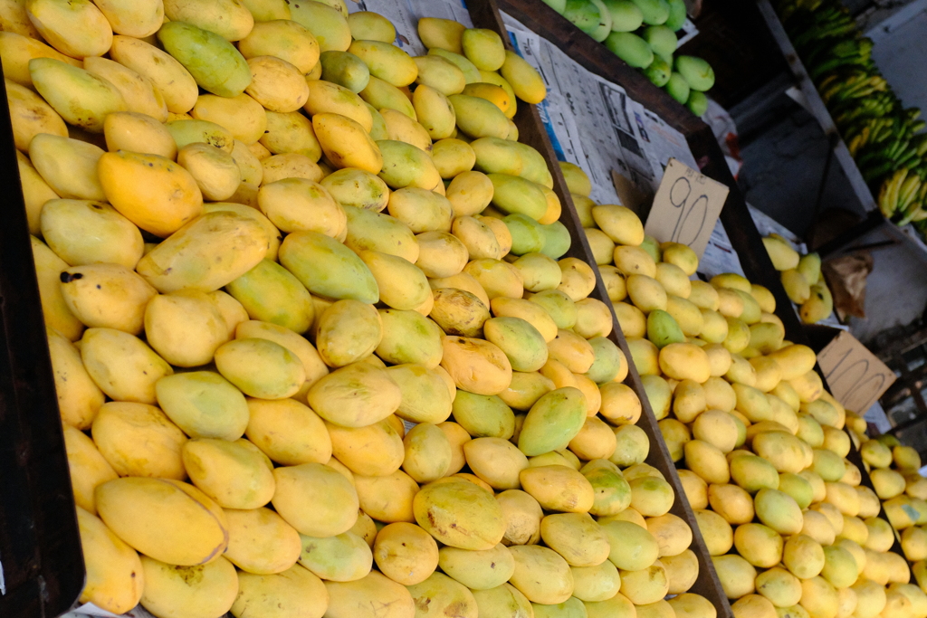 マンゴーのシーズン