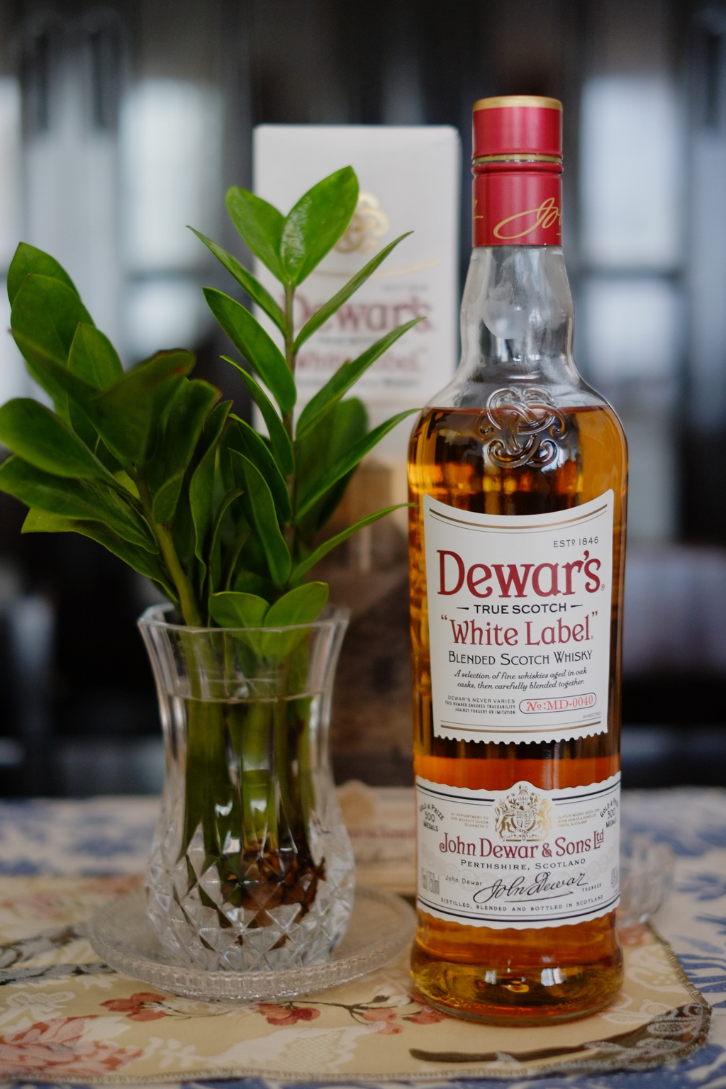 新しい仲間　その１