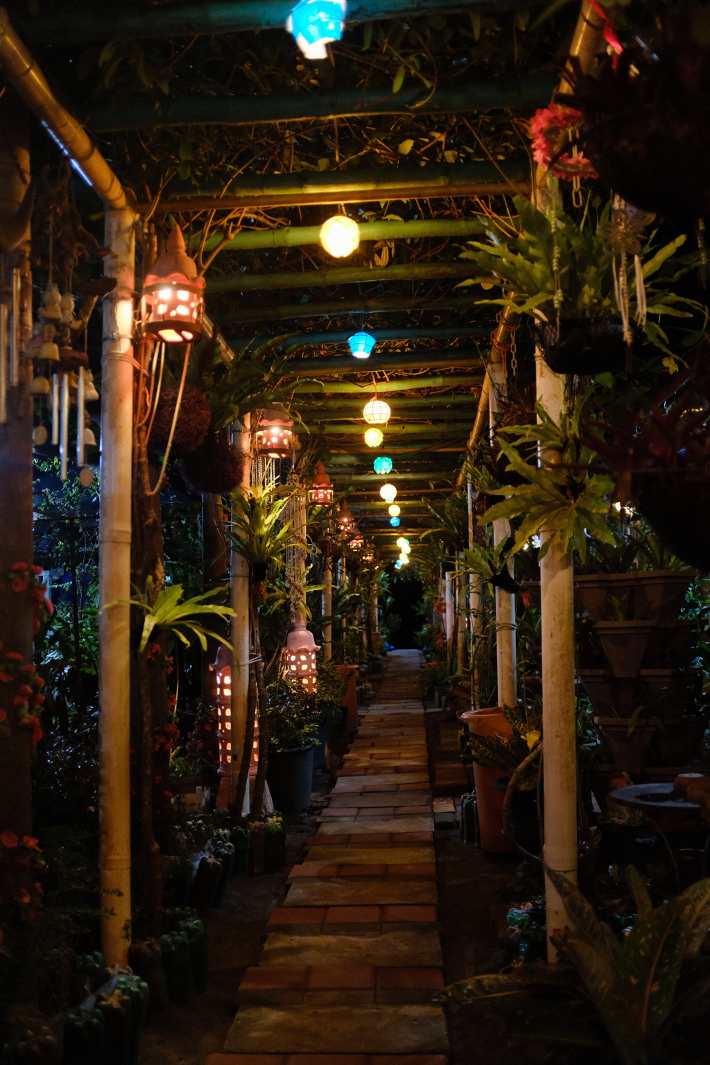 夜のどこでもドア