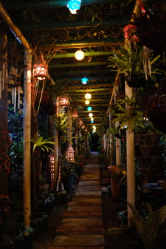 夜のどこでもドア