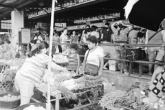 原住民の物売り 1