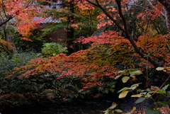 湯布院　金鱗湖 12