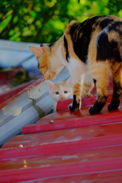 やっとお目見え