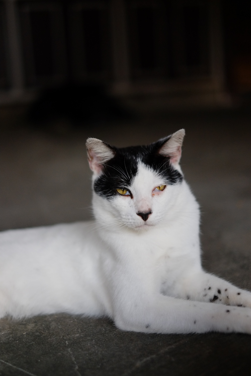 いい男でしょ？