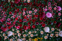 レストランの飾り