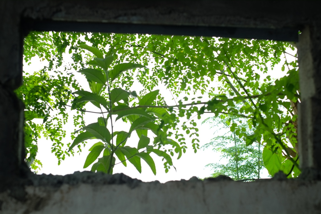 隙間から見える夏の終わり