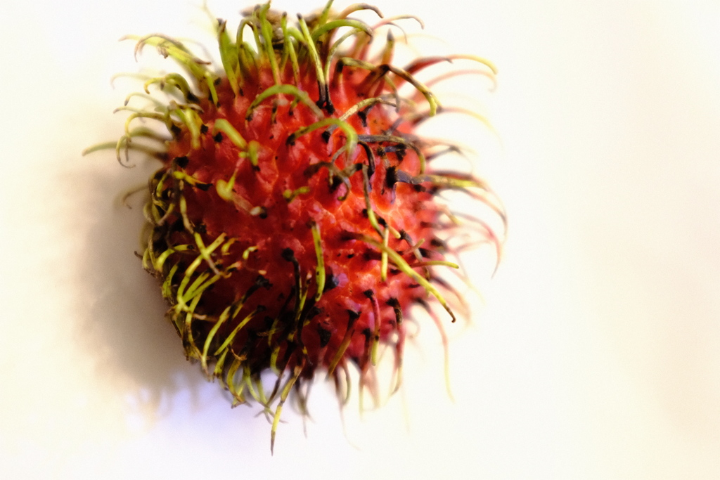 南国のフルーツ