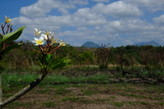 ロックダウンの空