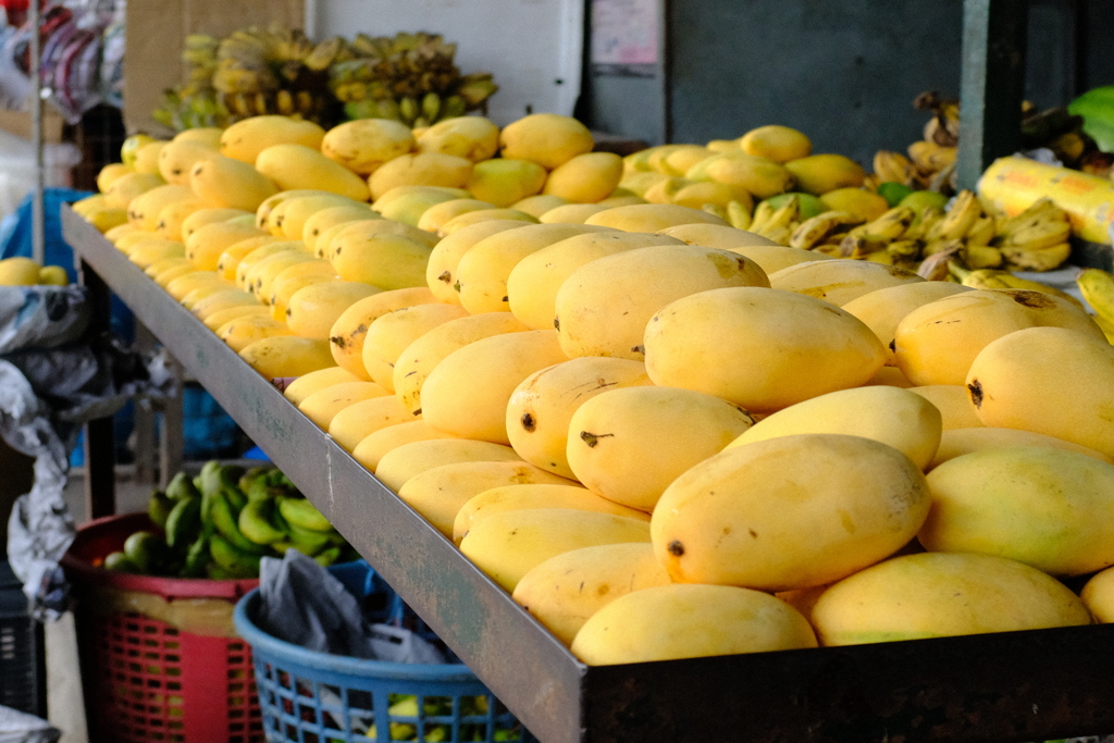 マンゴーの季節