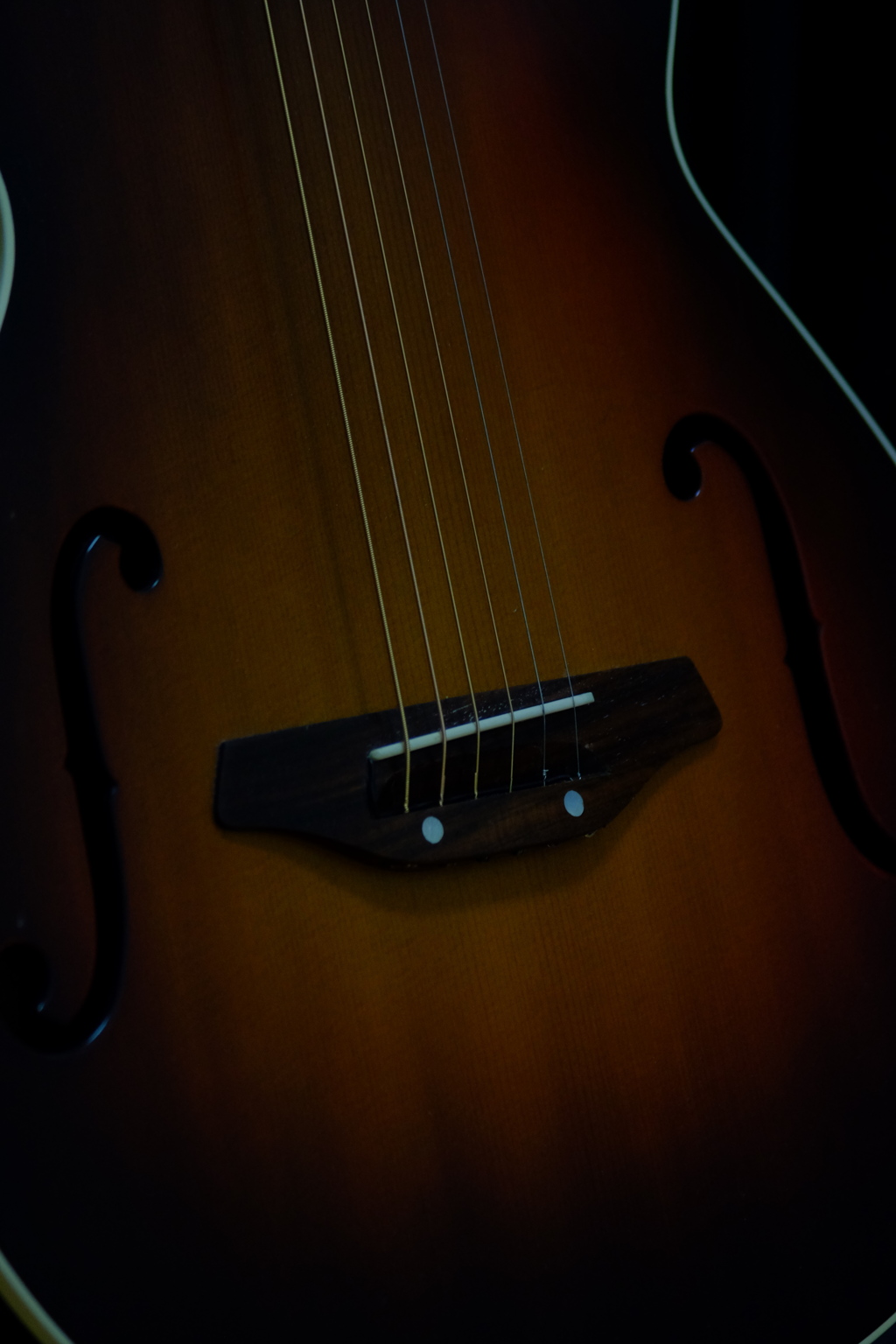 レンズテスト 1