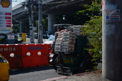 マニラの卵売り