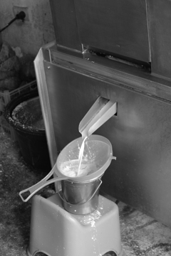 ココナッツミルク製造中