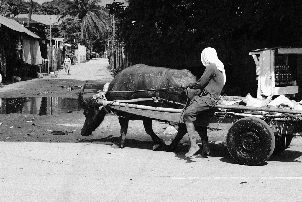 実物 ランボルギーニ