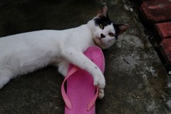 これは僕のもの