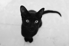 真っ黒