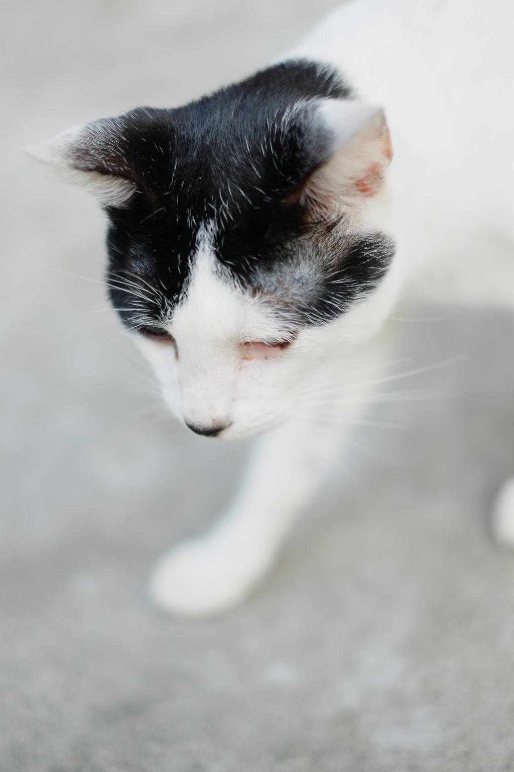 すんません、再び