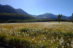長者原に秋の気配 2