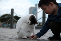 ん？　俺は石は食わねーよ