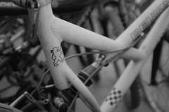 生まれたところを遠く離れて 2