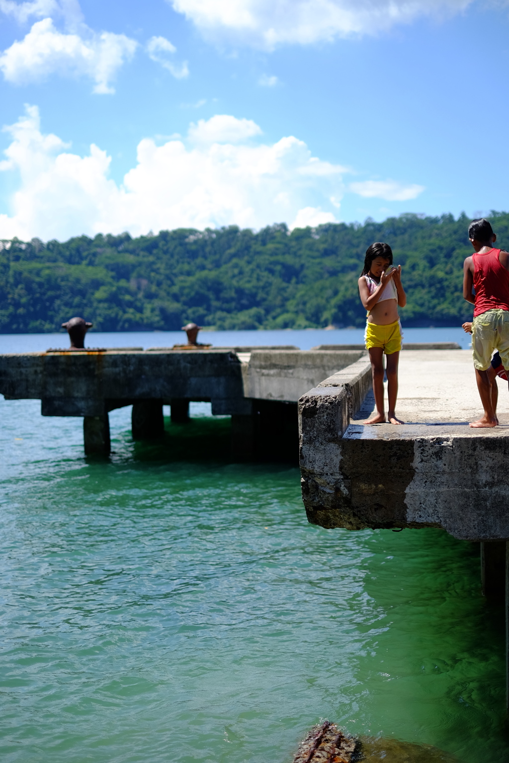 怖くて飛べない