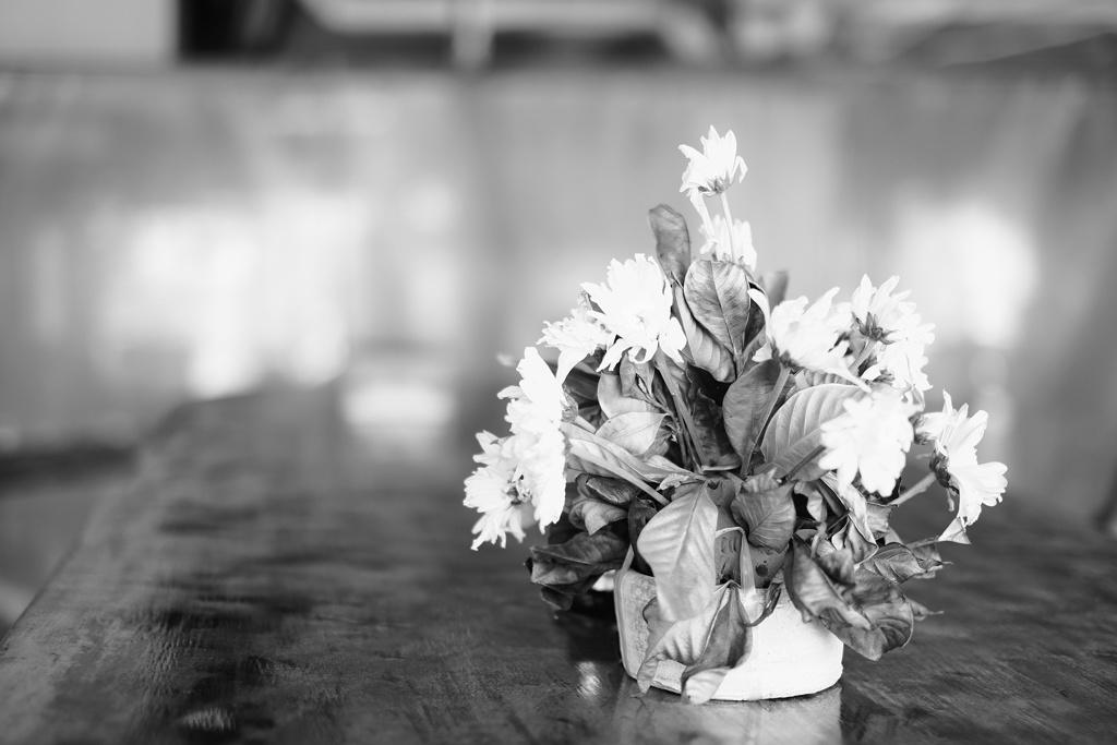 少しお疲れ気味