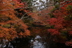 湯布院　金鱗湖 4