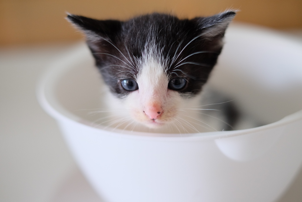 ここはどこだ？