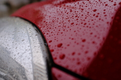 雨のクリスマス