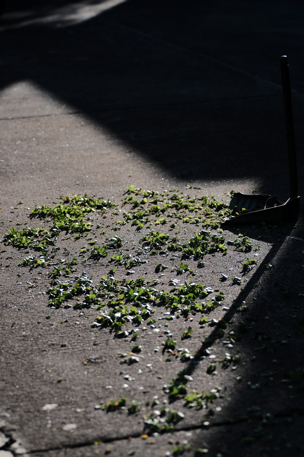 陽だまりと吹き溜まり