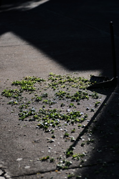 陽だまりと吹き溜まり