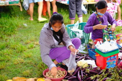 野菜売り
