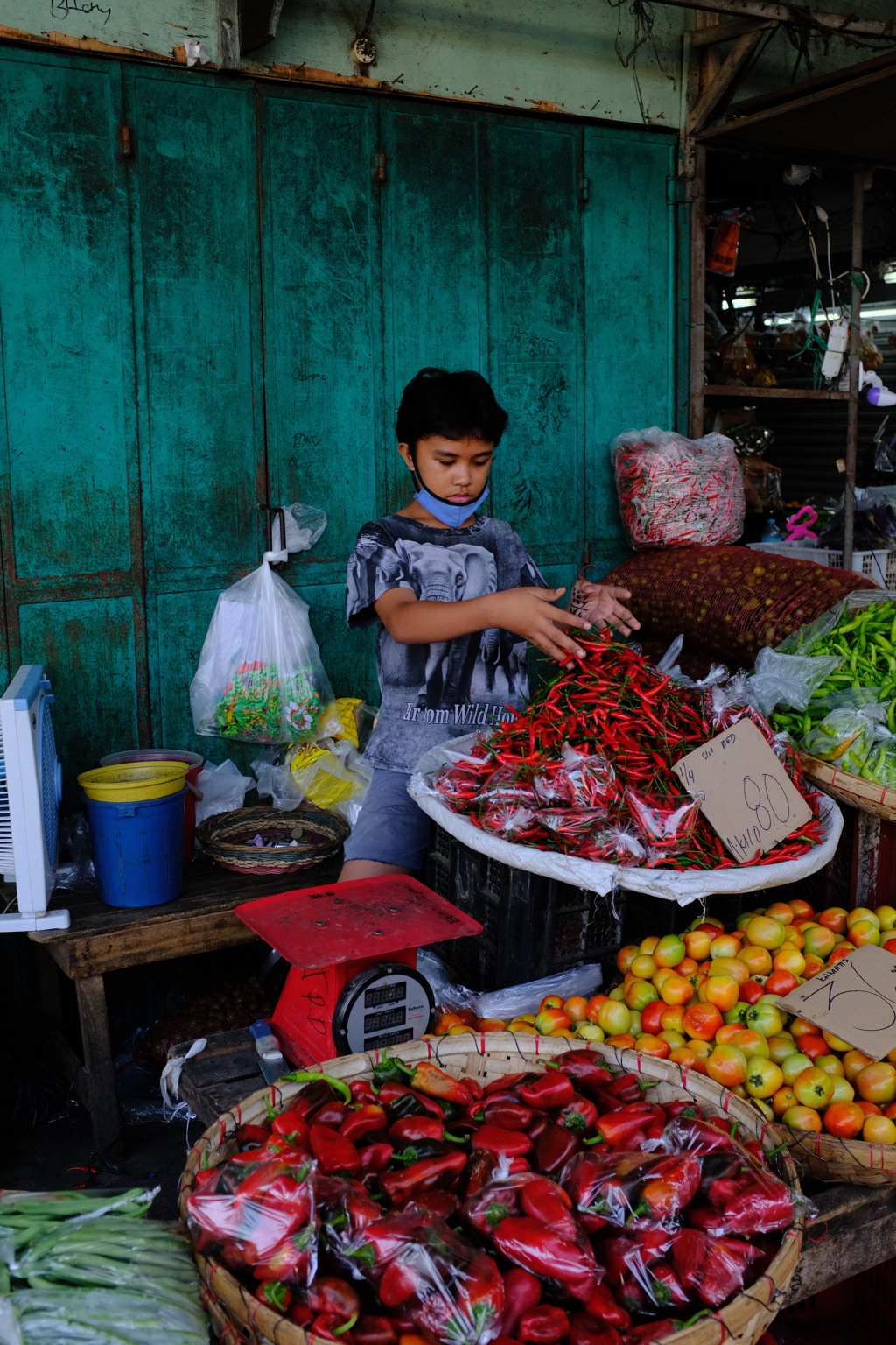 唐辛子売り　フジの色