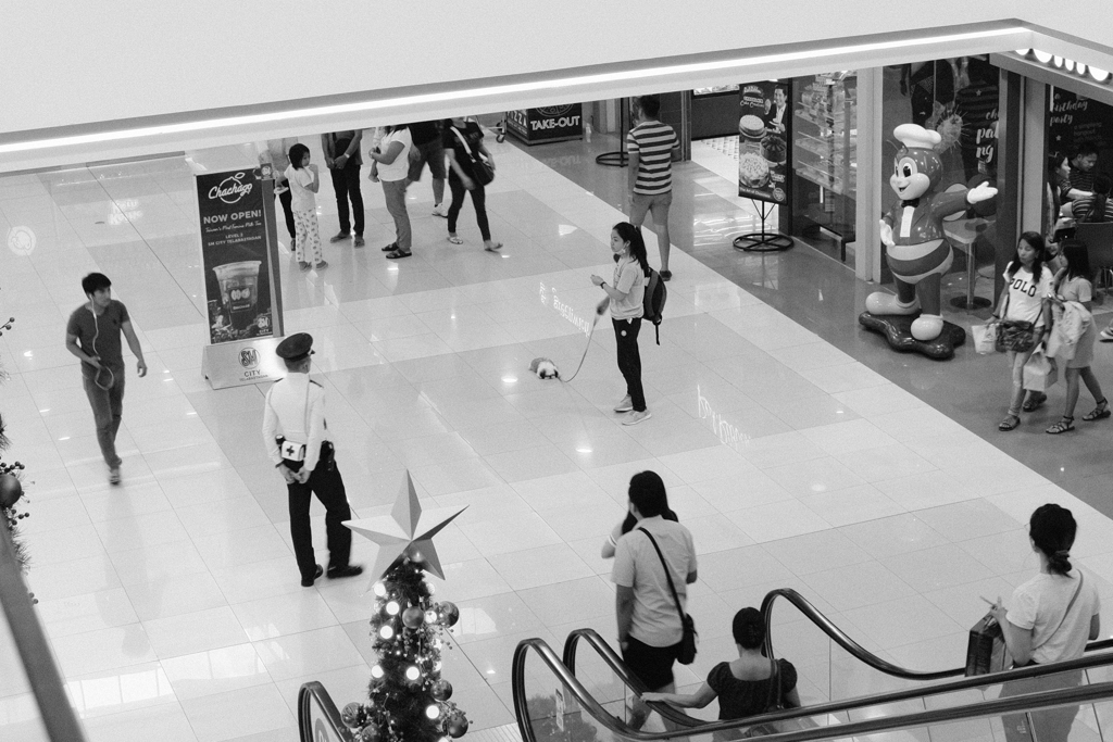 モップになった犬