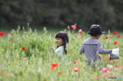 お花畑にて