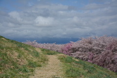 弘法山