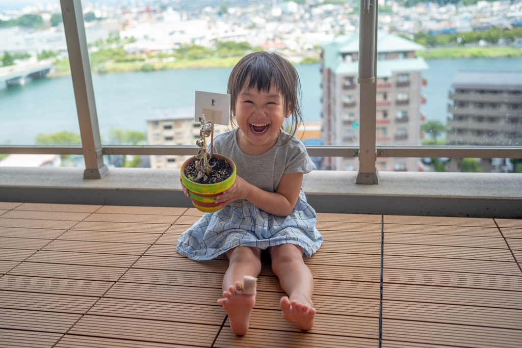 頑張ったヒマワリと
