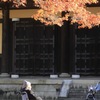 紅葉と老父