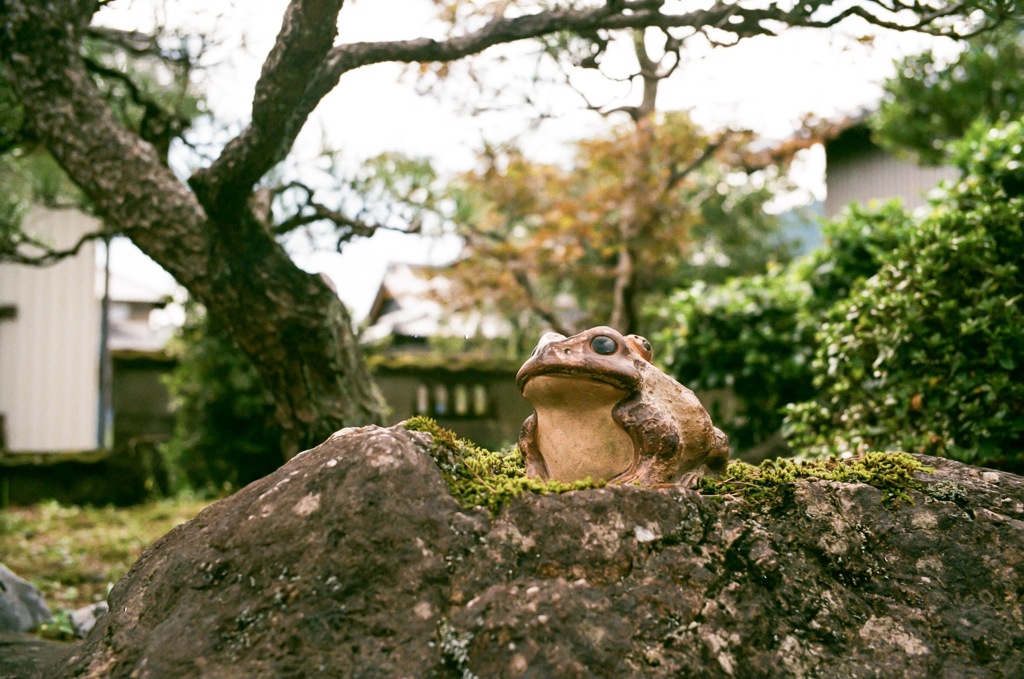 40年鎮座する
