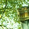 o-mikoshi