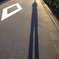 とまとさん