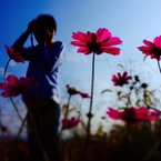 うさぴょんきち