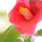 misa0at