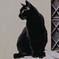 クロ猫