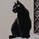 クロ猫