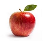 apple pen