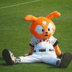YGサット